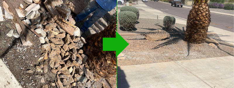 Before and after cleanup 4